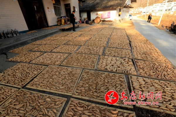 A_ԼN߀ոȺNֲ飬(dng)ȺÓؚ¸_meitu_2.jpg