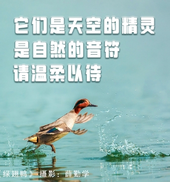 յľ` Ȼ ՈԴ